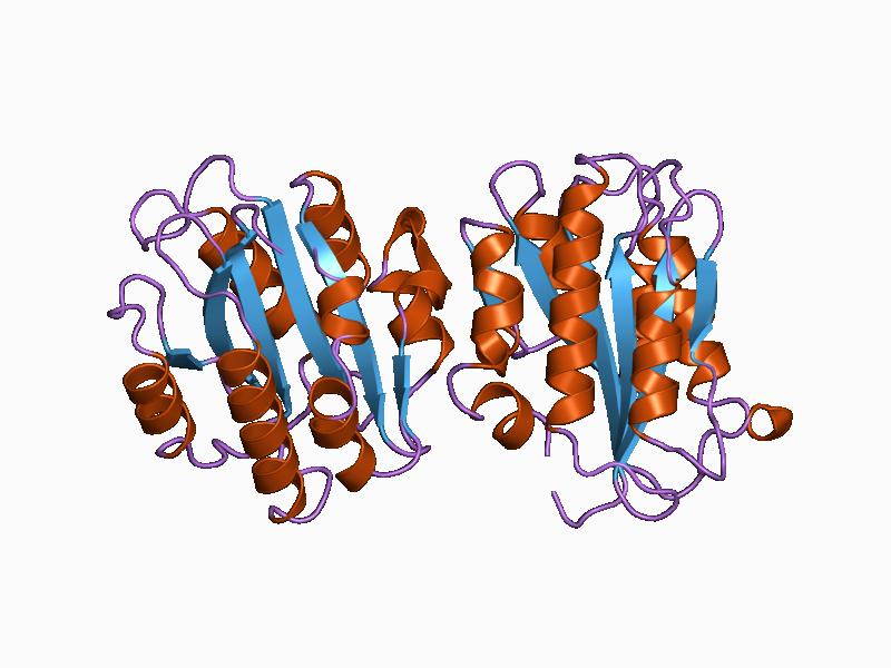 File:PDB 1ao3 EBI.jpg