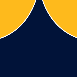 File:AFL West Coast Eagles Icon.png