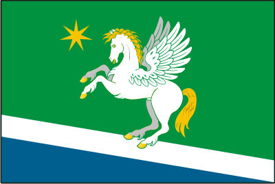 Файл:Flag of Atig.jpg