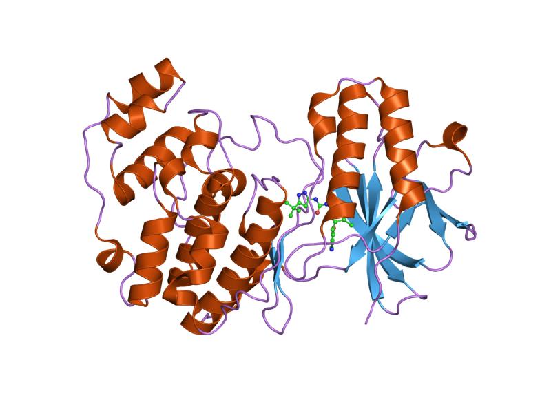 File:PDB 1wbn EBI.jpg