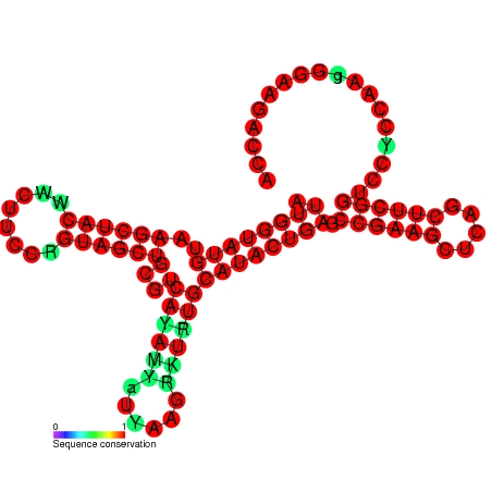 File:TLS-PK1 secondary structure.jpg