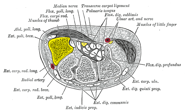 File:Gray422 - Trapezium.png