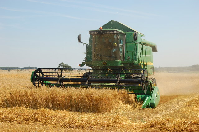 File:Harvest Time - geograph.org.uk - 747095.jpg