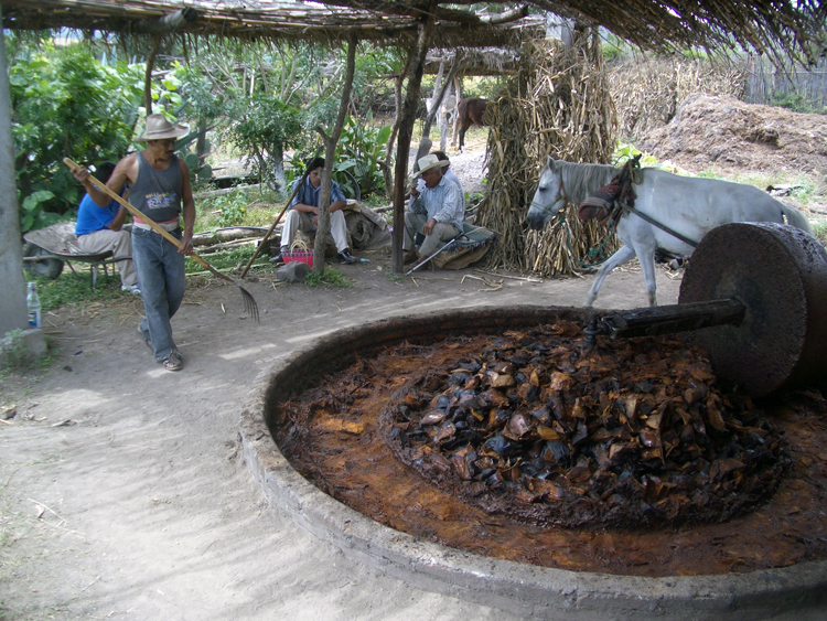 File:Molino de maguey.jpg