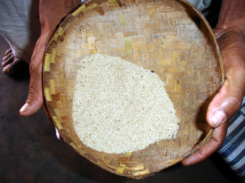 File:Niyamgiri rice.jpg