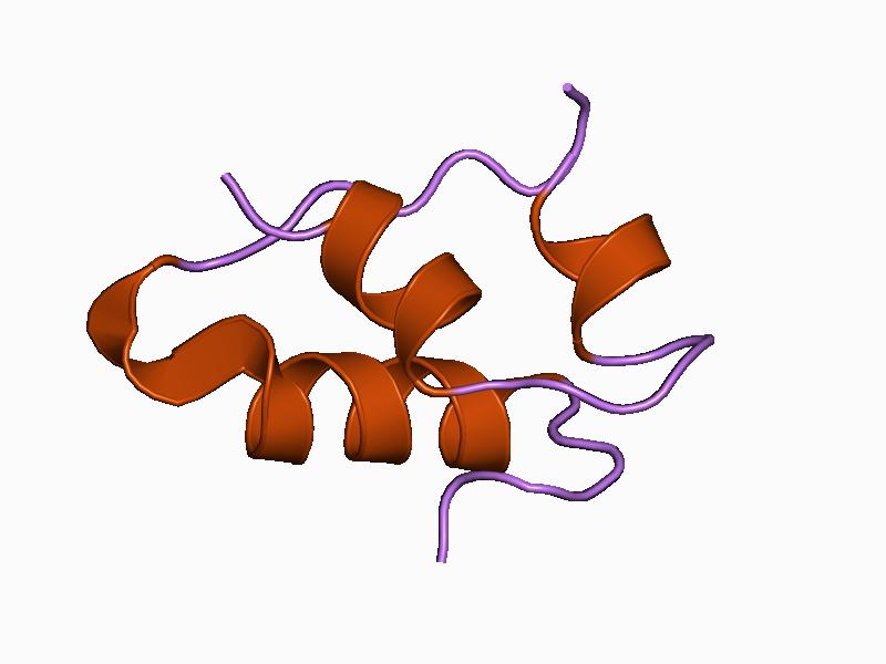 File:PDB 1b2g EBI.jpg