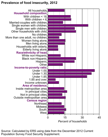 Food Insecurity by Household