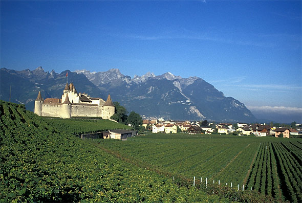 File:Aigle.jpg