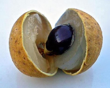 File:Frutos Exóticos-LONGAN.jpg