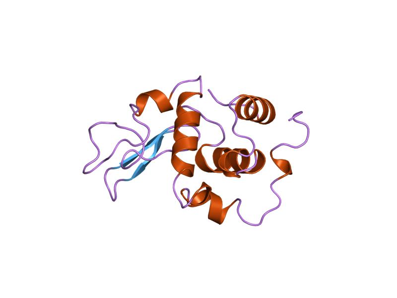 File:PDB 2meg EBI.jpg