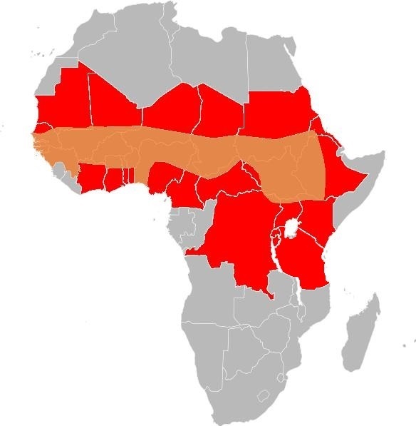 Файл:African meningitis belt - 2016.JPG