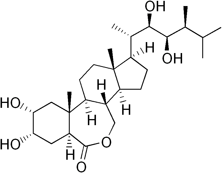 File:Brassinolide.png