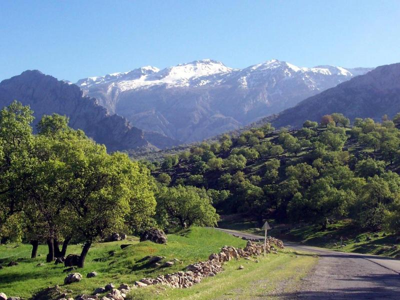 File:Landscape of Shadegan.jpg