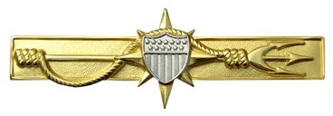 Файл:Marine Safety Insignia.png