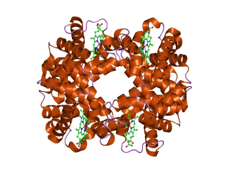 File:PDB 1j7w EBI.jpg