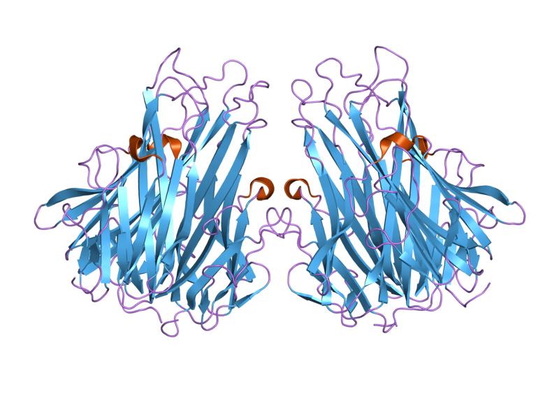 File:PDB 2tun EBI.jpg