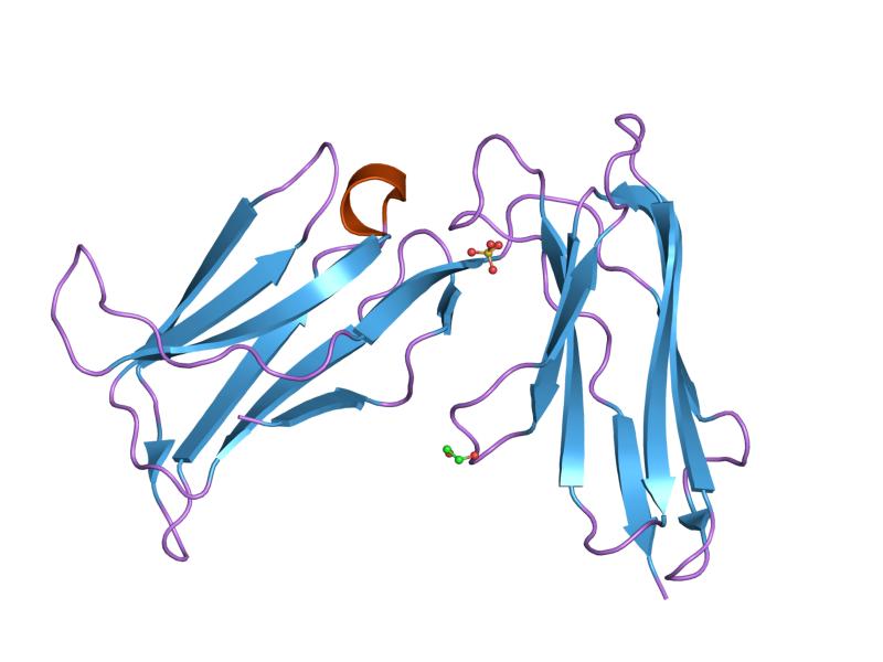 File:PDB 1m4k EBI.jpg