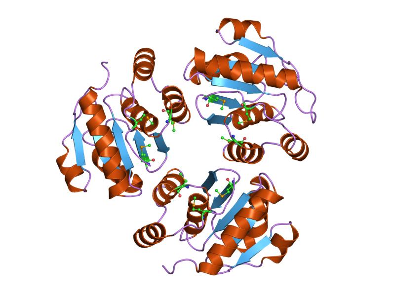 File:PDB 1rxd EBI.jpg