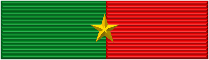 Файл:Vietnam Fatherland Defense Order 3kl rib.png