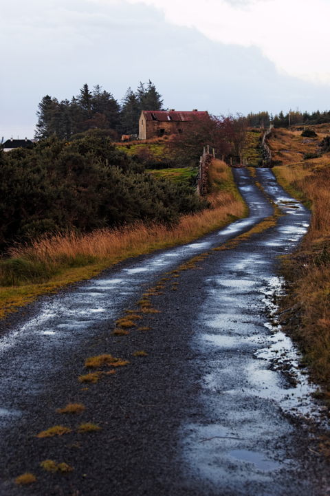 A back road in the west of Ireland.)