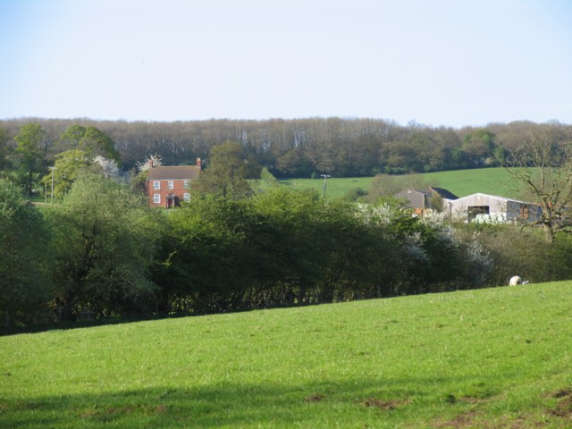 File:Flitteriss Park Farm - geograph.org.uk - 165808.jpg