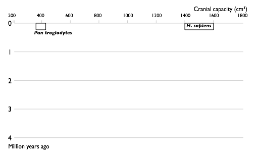 Файл:Hominins 1850.png