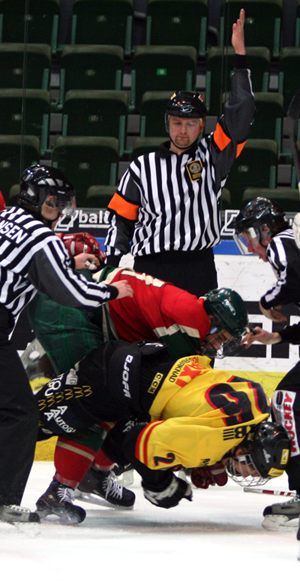 File:Icehockeyfight.jpg