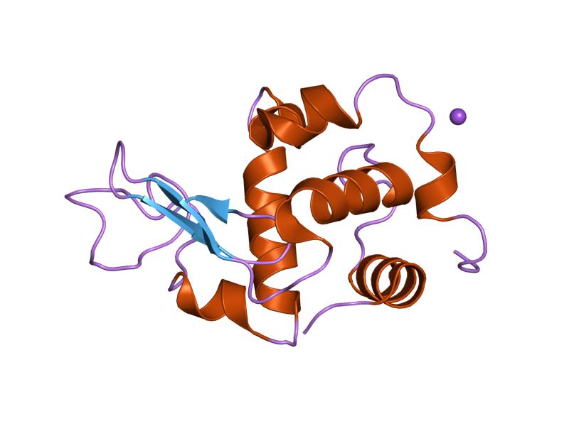 File:PDB 1gft EBI.jpg