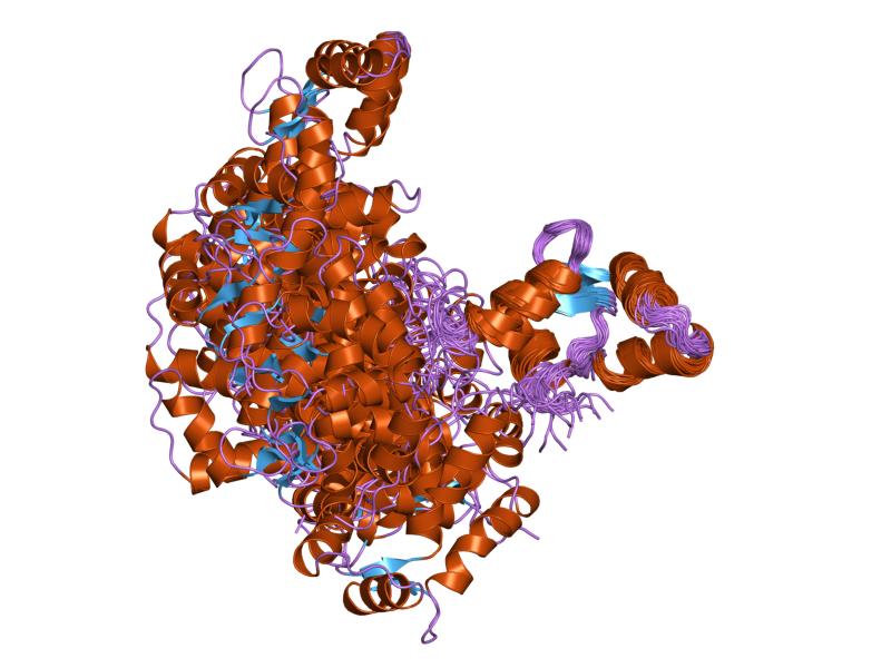 File:PDB 1tnw EBI.jpg