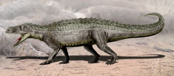 Archivo:Prestosuchus.jpg