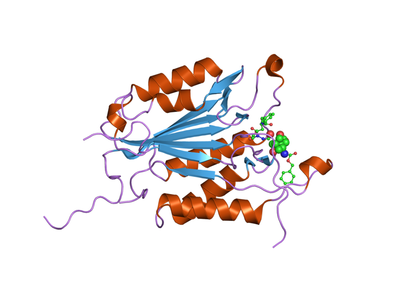 File:PDB 2cno EBI.png