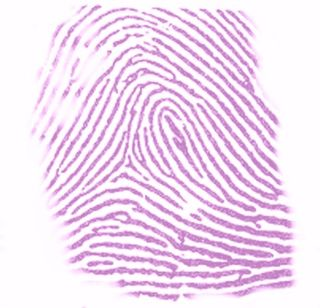 Файл:Ninhydrin staining thumbprint.png