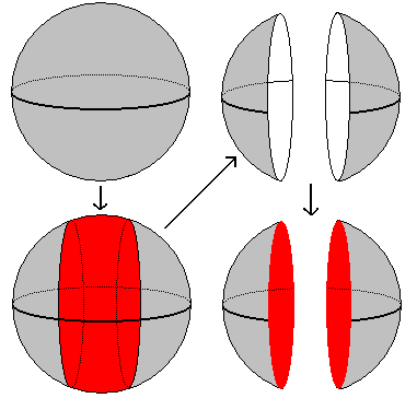 File:Sphere-surgery1.png