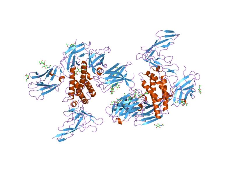 File:PDB 2erj EBI.jpg