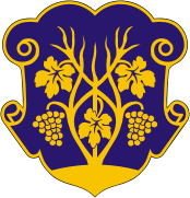 Coat of arms of Uzhgorod.png