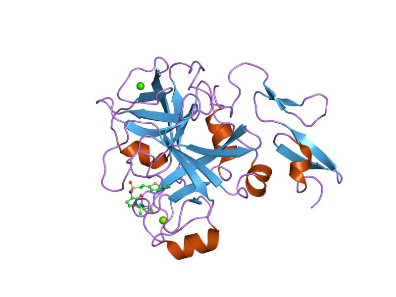 File:PDB 2uwp EBI.jpg