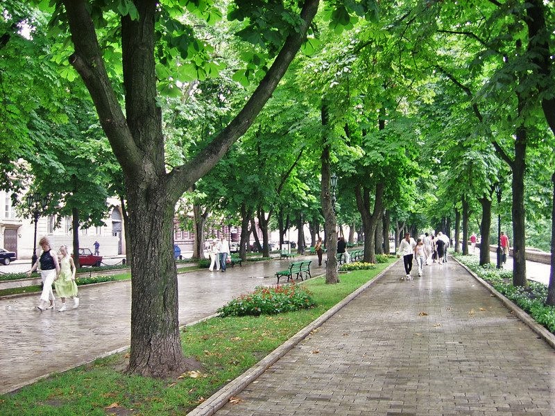 File:Primorskiy Parkway.jpg