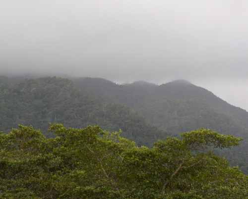 Archivo:Maya mtns fog.JPG