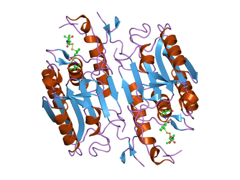 File:PDB 1nmq EBI.jpg