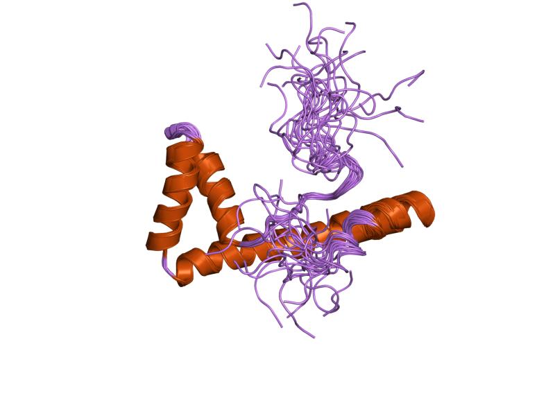 File:PDB 1v64 EBI.jpg