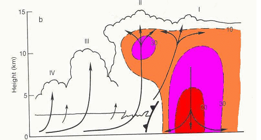 Файл:Orage-multicellulaire.png