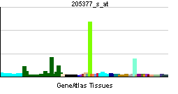 File:PBB GE ACHE 205377 s at tn.png