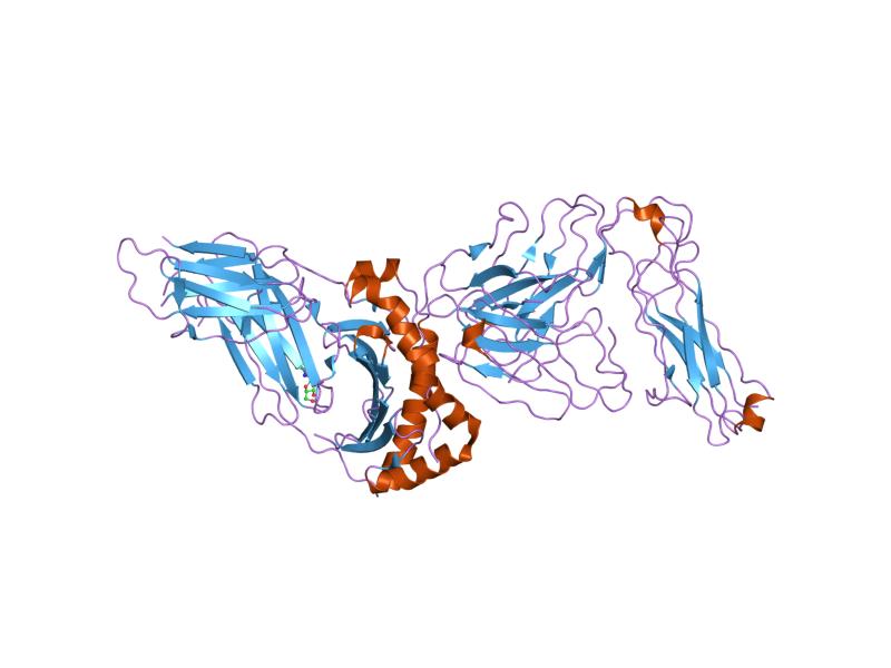 File:PDB 1ymm EBI.jpg