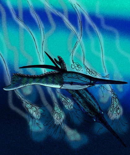 File:Rhinopteraspis dunensis reconstruction.jpg