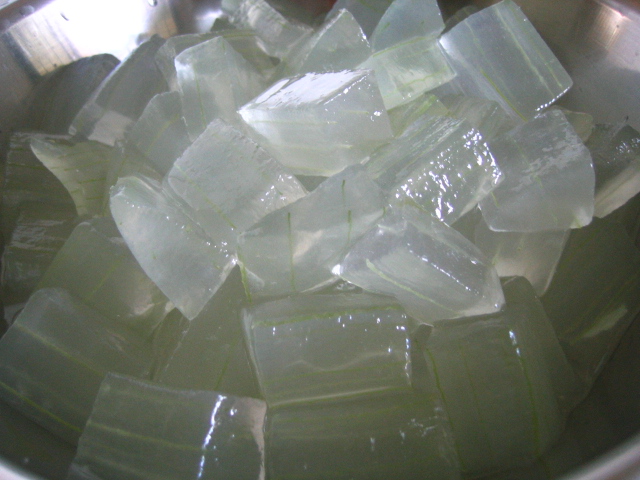 File:Aloe vera gel.jpg