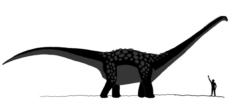 Файл:Antarctosaurus dinosaur.jpg