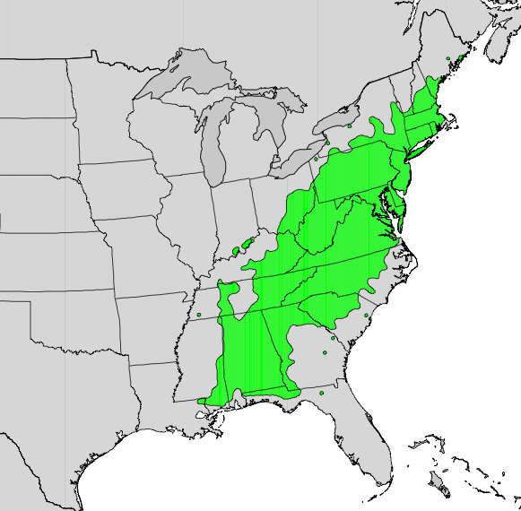 File:Kalmia latifolia map.png