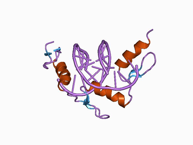 File:PDB 1a1i EBI.jpg