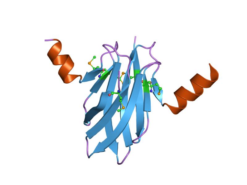 File:PDB 1vpz EBI.jpg