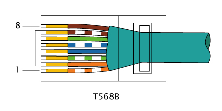 Файл:RJ-45 TIA-568B Left.png